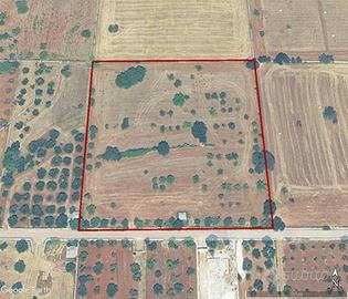 Terreno edificabile a Alberobello