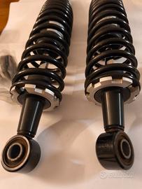 disco + ammortizzatori Guzzi V7 III 850 Rough