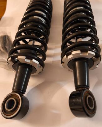 disco + ammortizzatori Guzzi V7 III 850 Rough