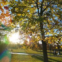 Terreno migliarina,,orto magazzino