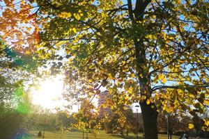 Terreno migliarina,,orto magazzino