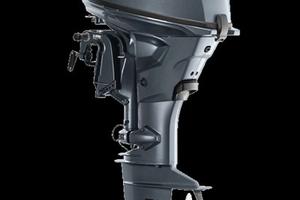 Fuoribordo Yamaha F 20 GEPS/L