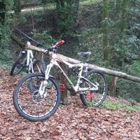 mtb Cannondale con ammortizzatori