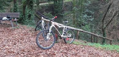 mtb Cannondale con ammortizzatori