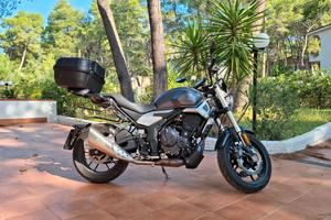 Voge Trofeo 500 AC - 2022