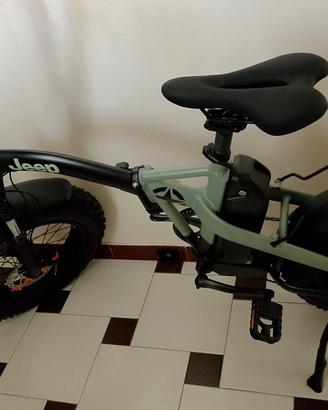 Bici elettrica