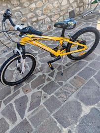 bicicletta mtb 