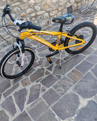 bicicletta mtb 