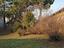 Immagine 16