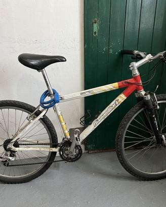 Bicicletta da uomo, taglia media.