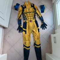 Cosplay costume Wolverine