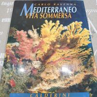 Mediterraneo - Vita sommersa - C. Ravenna