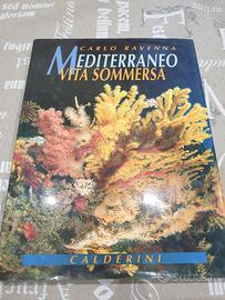 Mediterraneo - Vita sommersa - C. Ravenna