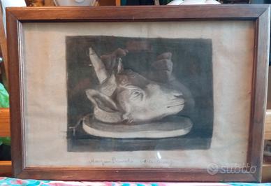 Quadro Testa di Capra firmato 