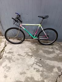Mountain bike