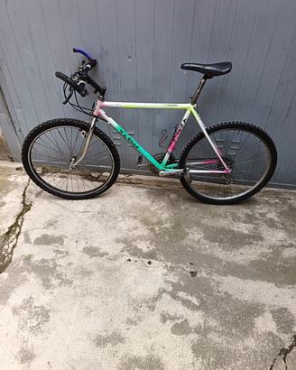 Mountain bike
