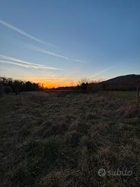 Terreno agricolo a Torreano