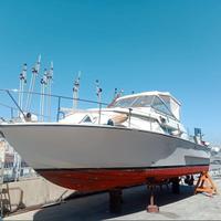 Coronet 32 Botved + 2x220 Aifo (1982)