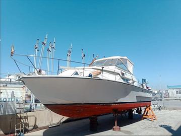 Coronet 32 Botved + 2x220 Aifo (1982)