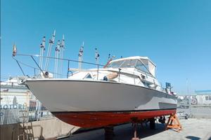 Coronet 32 Botved + 2x220 Aifo (1982)