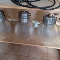 Lampade per pescheria e non