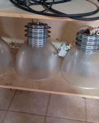 Lampade per pescheria e non