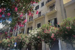 Appartamento Bari [Cod. rif 3275759VRG]