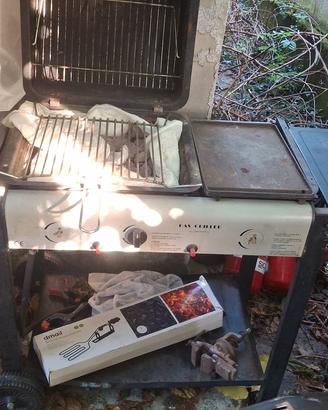 Barbecue a gas, carbone o legna.
