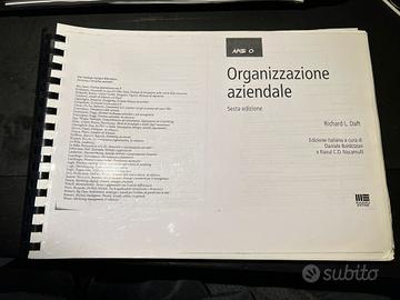 Organizzazione aziendale di Daft