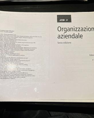Organizzazione aziendale di Daft