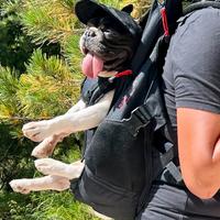 Zaino trasportino cane 15kg