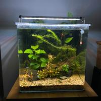 Acquario 90 completo