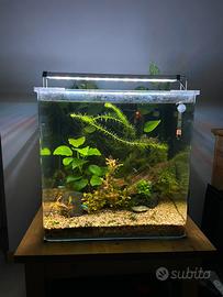 Acquario 90 completo