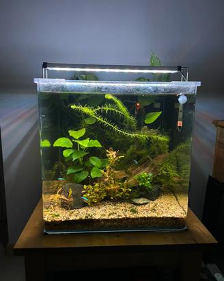 Acquario 90 completo