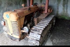 OM 50 TRATTORE A CINGOLI