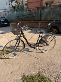Bici holland weg