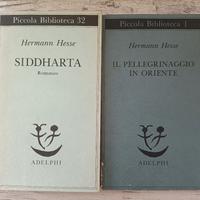 Siddhartha e Il Pellegrinaggio In Oriente Hesse