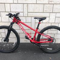 Bicicletta Mountain bike Specialized taglia S