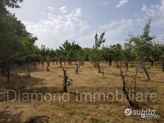 Terreno agricolo pianeggiante a Piedimonte Etneo - Vista 3