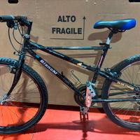 Mountan bike BIANCHI 26