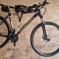 Canondale 29"