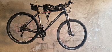 Canondale 29"