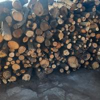 legna da ardere in stanga e  bancali 