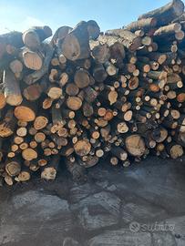 legna da ardere in stanga e  bancali 