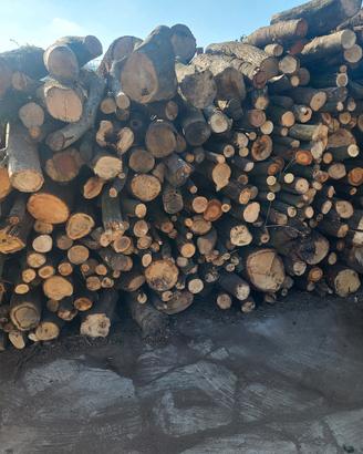 legna da ardere in stanga e  bancali 