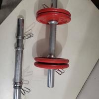 2 manubri  con 4 pesi da 1kg