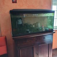 acquario 120x 45