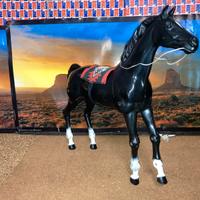 Big Jim Cavallo Pinto ( 7383 )