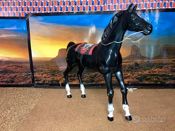 Big Jim Cavallo Pinto ( 7383 )