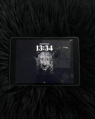 iPad 9 generazione